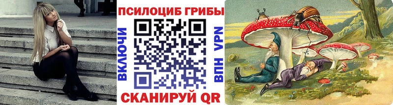 Псилоцибиновые грибы Psilocybe  MEGA как зайти  Грайворон 