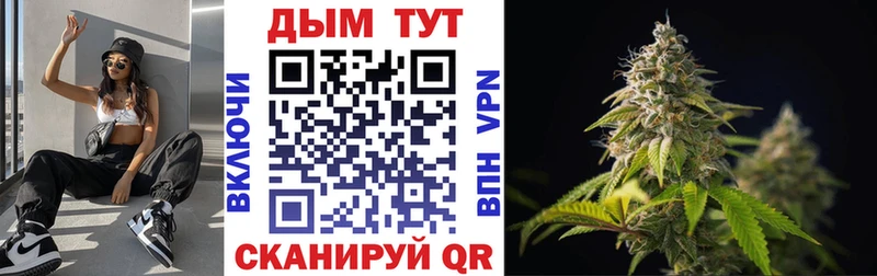 Каннабис сатива Грайворон